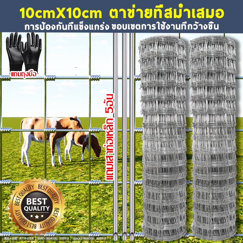 ช่องตา 10cm10cm ตาข่ายลวดเหล็ก รั้วถักปม/รั้วตาข่าย