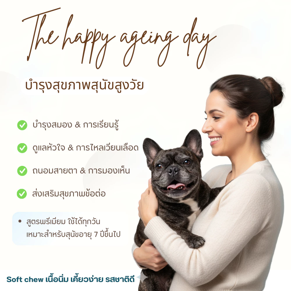 Senior Support Chew วิตามินบำรุงสุนัขสูงวัย 7+ | โอเมก้า ลูทีน บำรุงสมอง หัวใจ สายตา สุขภาพครบถ้วน | Natural Dog Company thumbnail 3