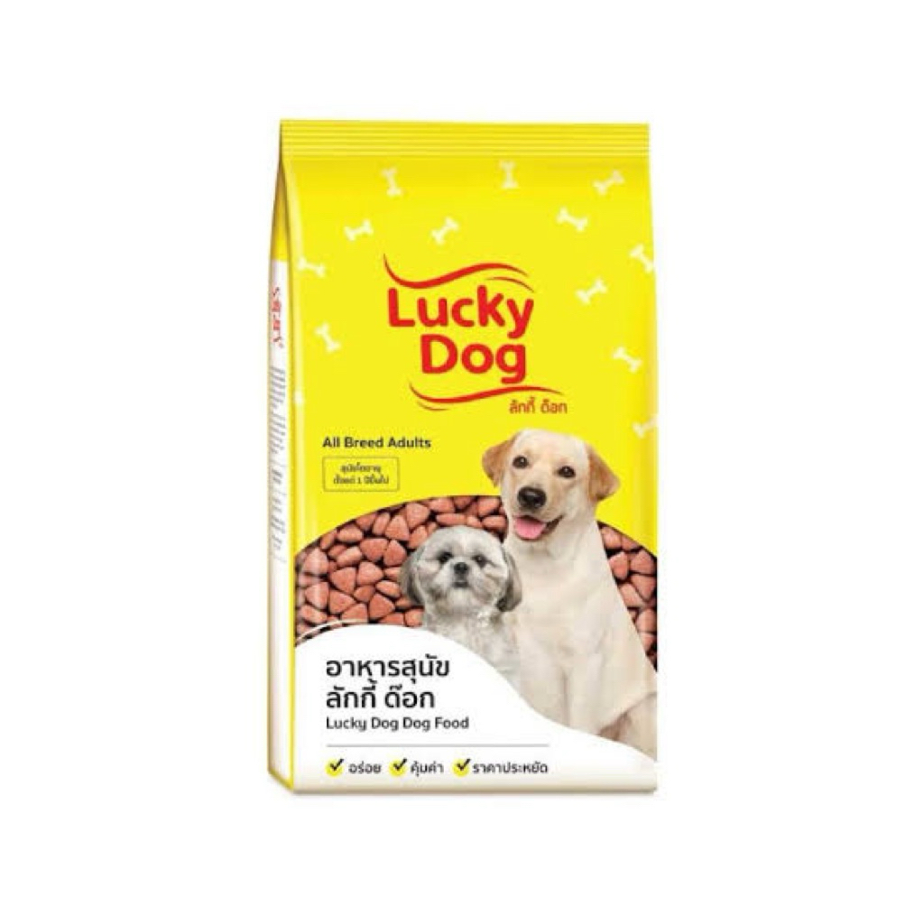 ลักกี้ด้อก Lucky dog