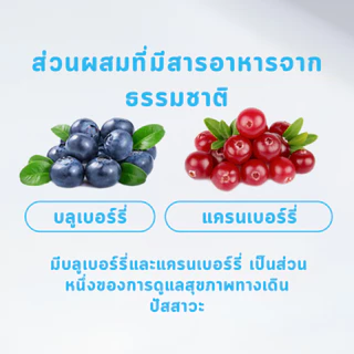 MR.Vet อาหารแมว T4 1กก. 6fish with Freeze Dried อาหารแมวแห้ง รโฮลิสติก สำหรับแมวในร่ม ดูแลแบบ Low Sensitivity