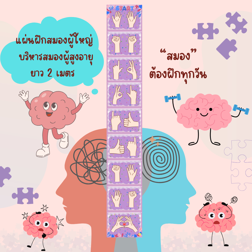 แผ่นฝึกสมอง2ซีก ท่า L จีบ สำหรับผู้สูงอายุ เหมาะสำหรับศูนย์พัฒนาผู้สูงวัย ป้องกันความจำเสื่อม