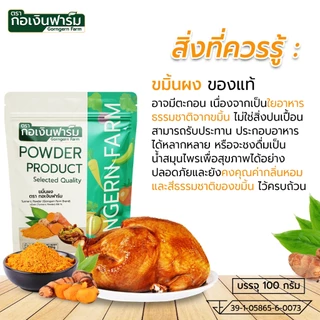 ขมิ้นผง (Turmeric Powder) ตรา กอเงินฟาร์ม ขนาด 100 กรัม