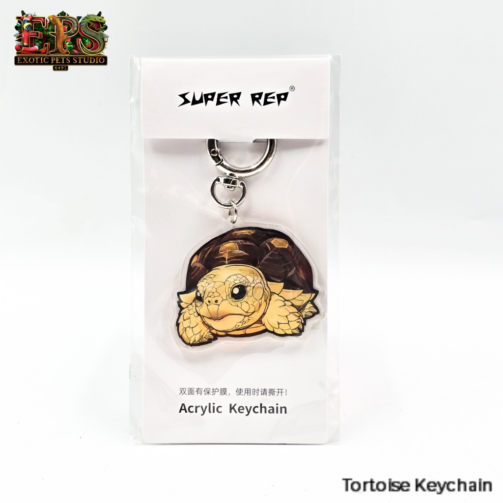 พวงกุญแจ 8ลาย รูปเต่าสุดน่ารัก Keychain เต่า พวงกุญแจแฟนซี