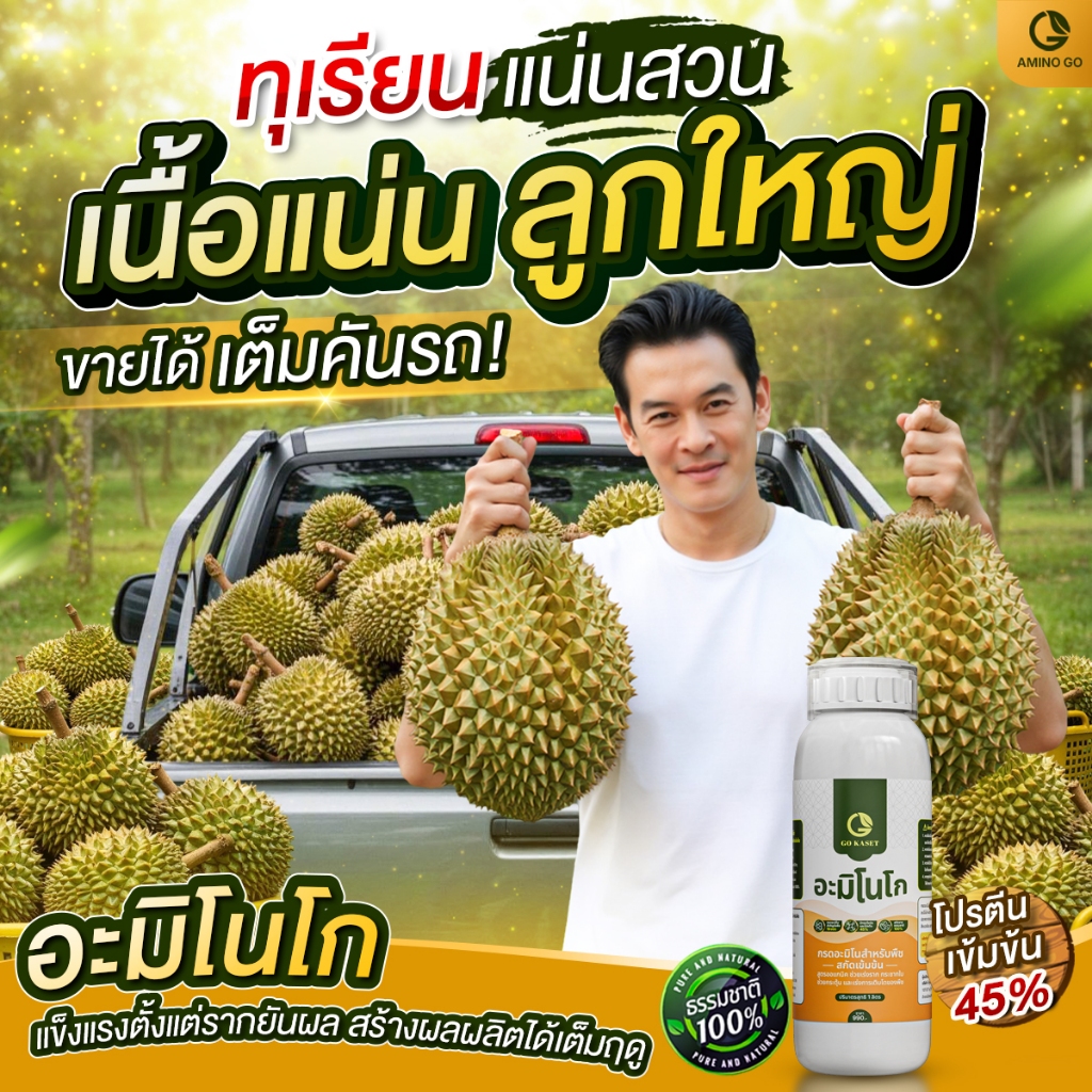 [3ขวด] อะมิโนโก(ขวดเล็ก) 500 ML - AMINO GO กรดอะมิโนสำคัญต่อพืช19ชนิด สูตรออร์แกนิค ธรรมชาติ100% - รูปที่ 2
