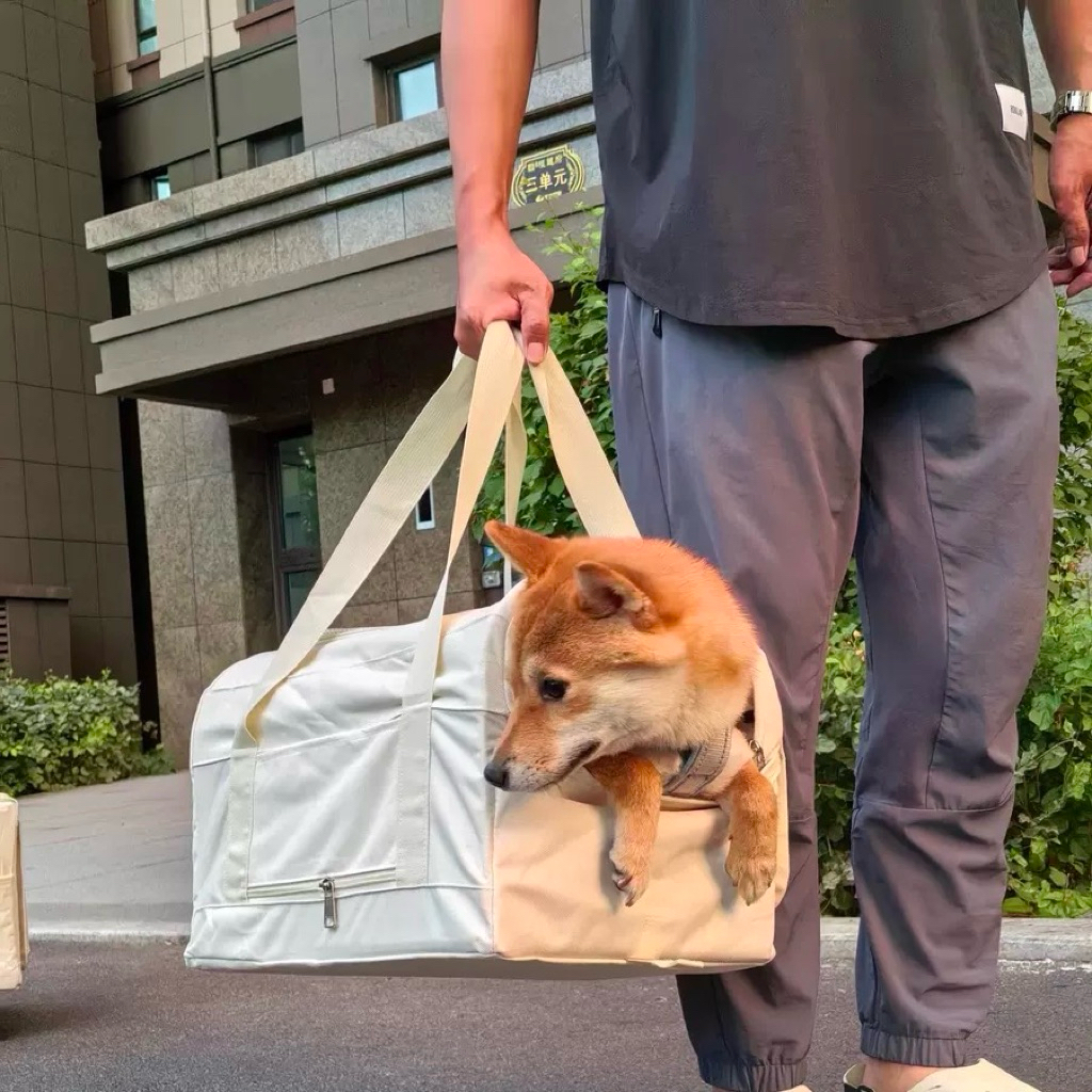 petcare 🇰🇷 กระเป๋าเเมว กระเป๋าสัตว์ กระเป๋าหมา โครงเหล็ก  สไตล์เกาหลี สําหรับสัตว์เลี้ยง สุนัข แมว รูปที่ 2