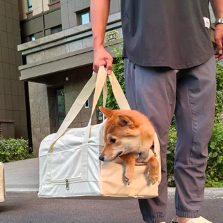 petcare 🇰🇷 กระเป๋าเเมว กระเป๋าสัตว์ กระเป๋าหมา โครงเหล็ก สไตล์เกาหลี สําหรับสัตว์เลี้ยง สุนัข แมว