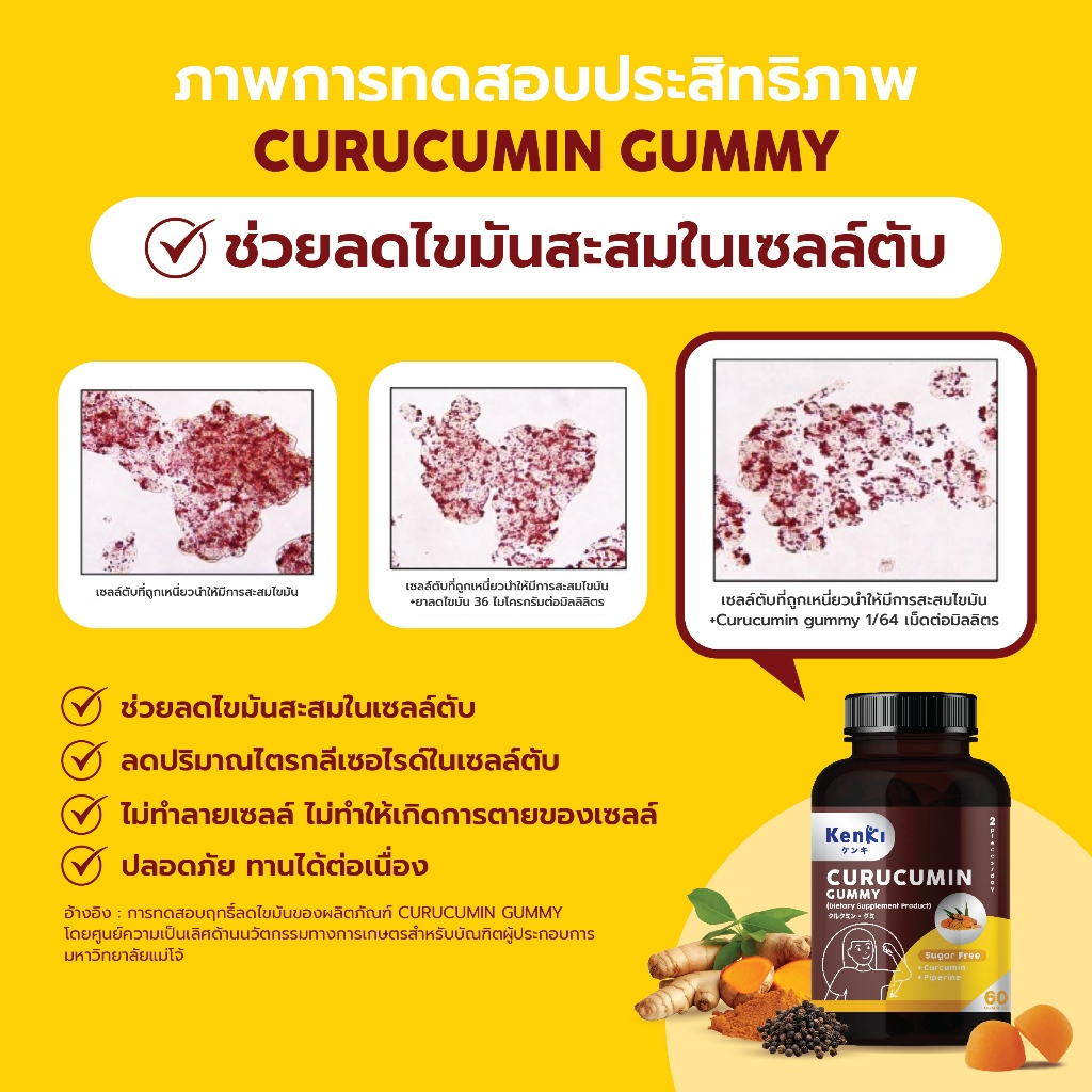 KENKI เก็นคิ CURUCUMIN Gummy คุรุคุมิน  ฟื้นฟูดูแลตับ - รูปที่ 3