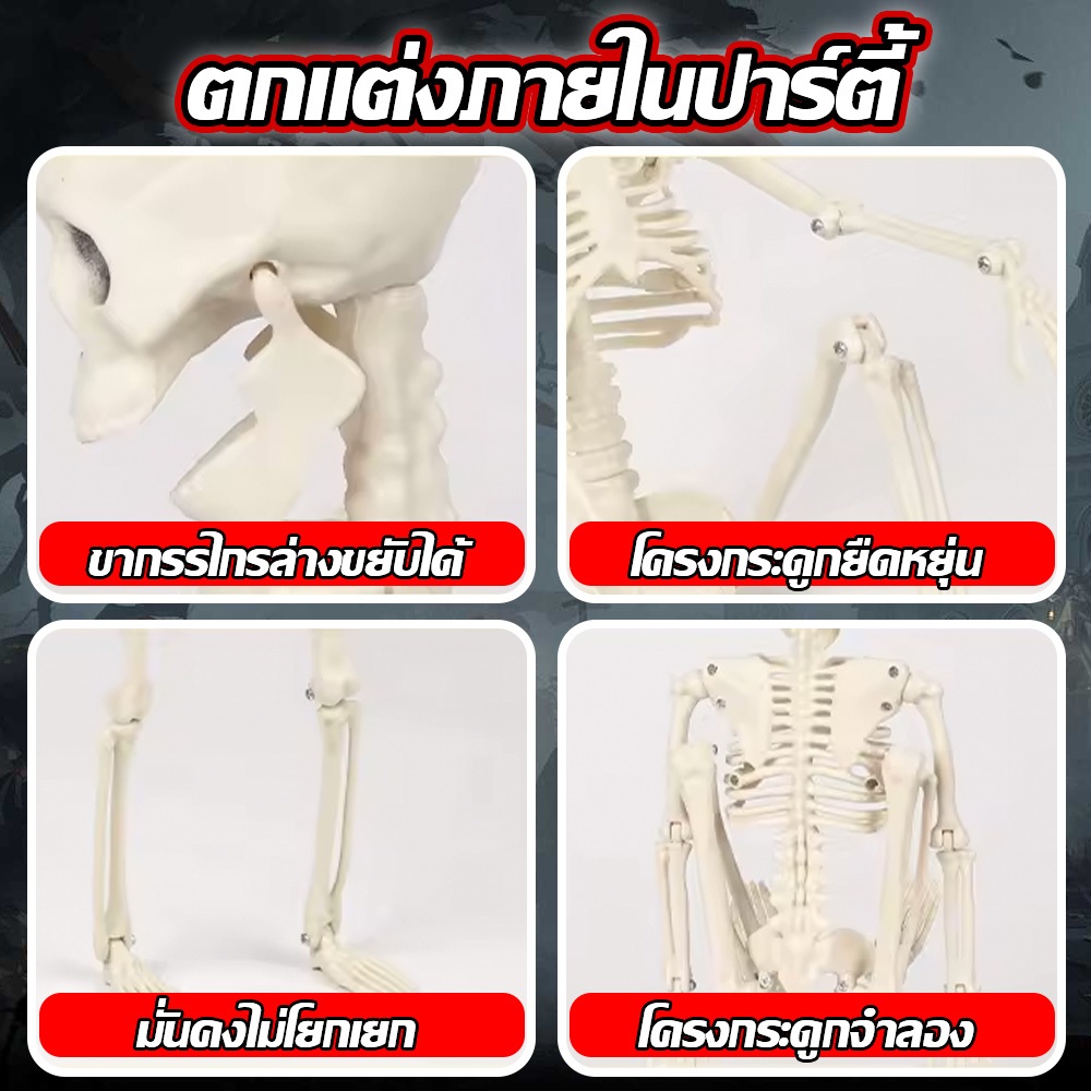 โครงกระดูกจำลองสยองน่ากลัว กระดูกมือกะโหลกปลอม ของตกแต่งฮาโลวีน Halloween Decoration /HomeUP รูปที่ 7