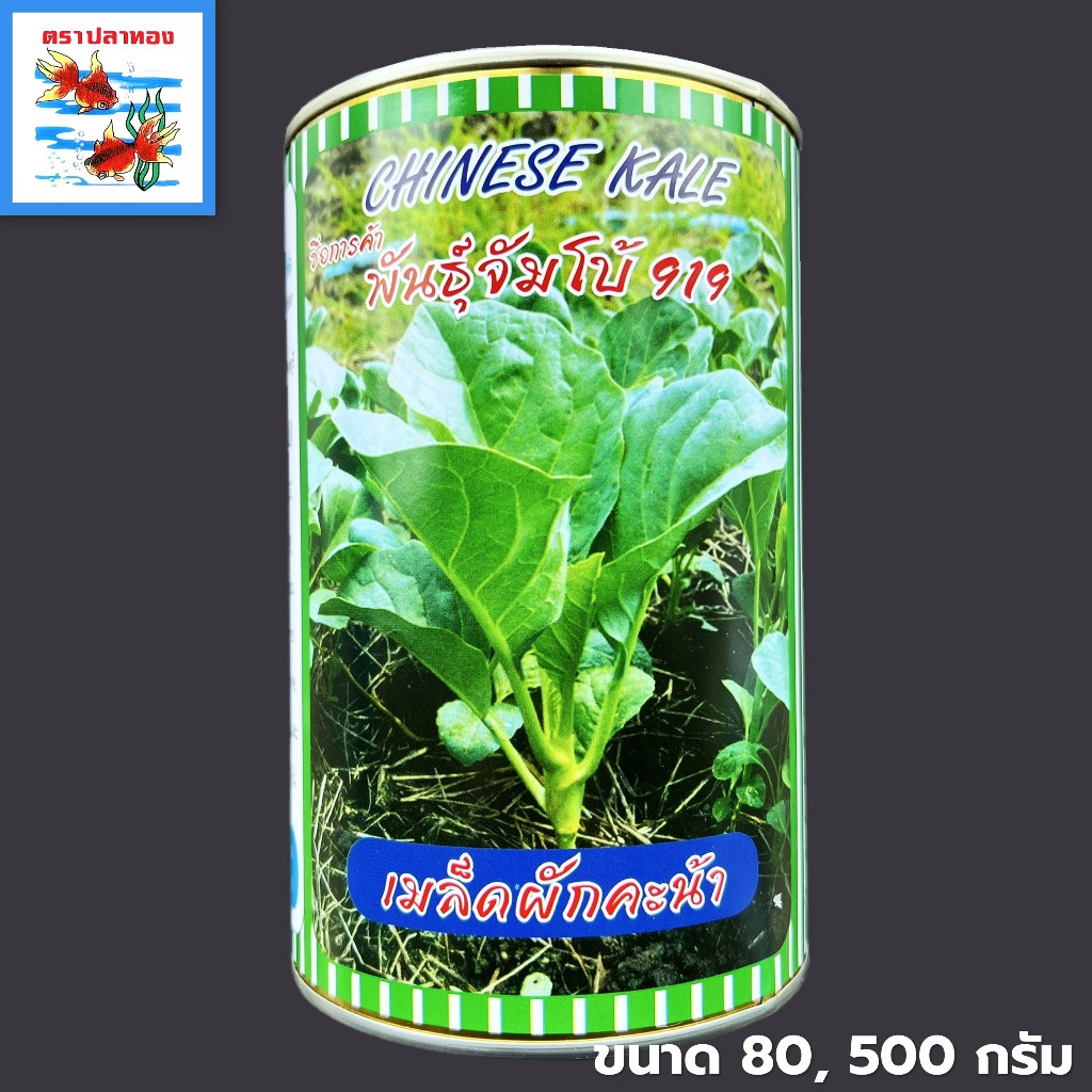 เมล็ดคะน้า คะน้ายอด กระป๋อง ขนาด 80, 500 กรัม ตราปลาทอง พันธุ์ จัมโบ้ 919