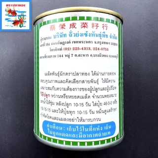 เมล็ดบวบหอม กระป๋อง ขนาด 60 กรัม ตราปลาทอง งอกดี ปลูกง่าย โตไว ผลผลิตสูง