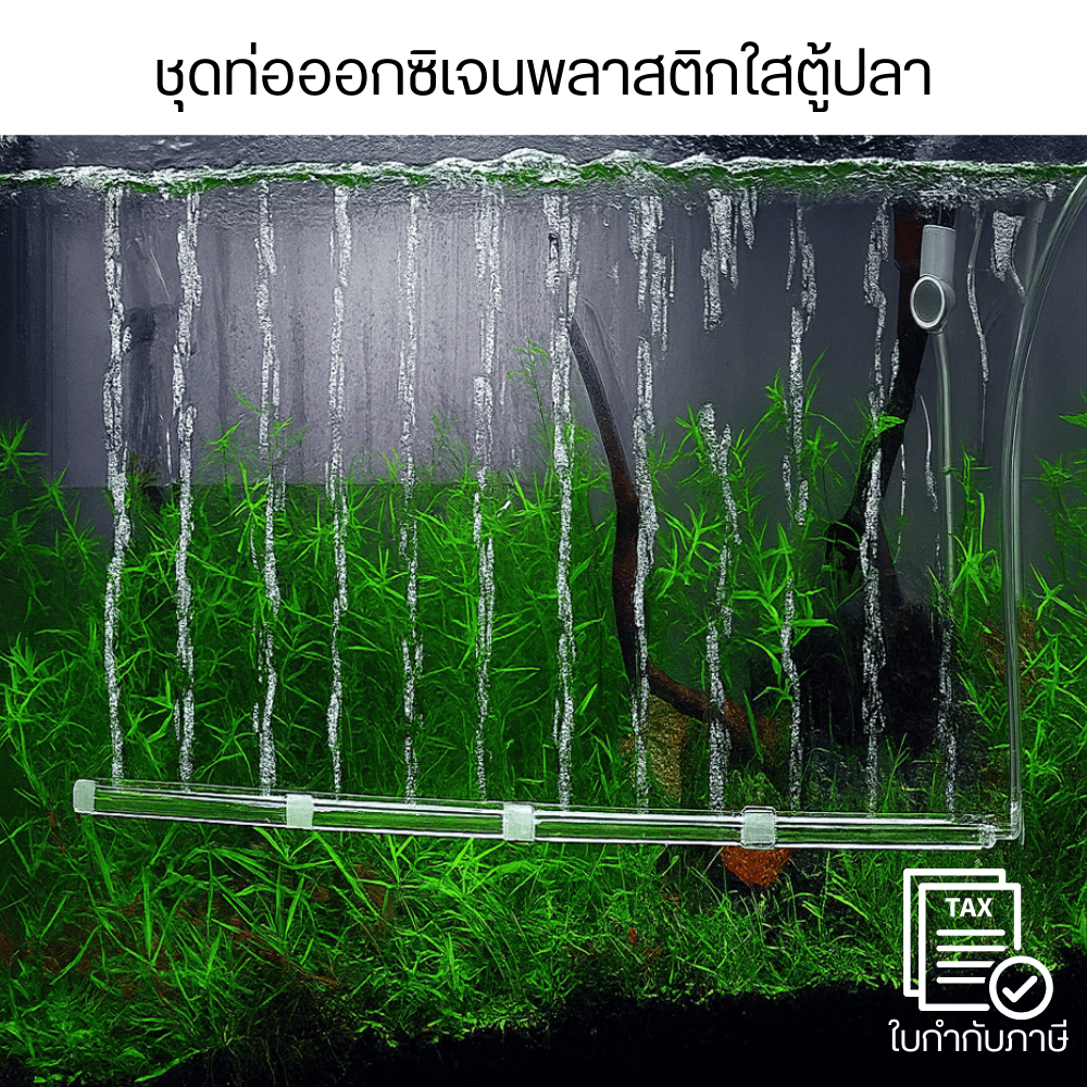 ชุดท่อออกซิเจนพลาสติกใส ตู้ปลา พร้อมหัวต่อ + ตัวดูด ติดตั้งง่าย ทนทาน สำหรับเพิ่มออกซิเจนปลา