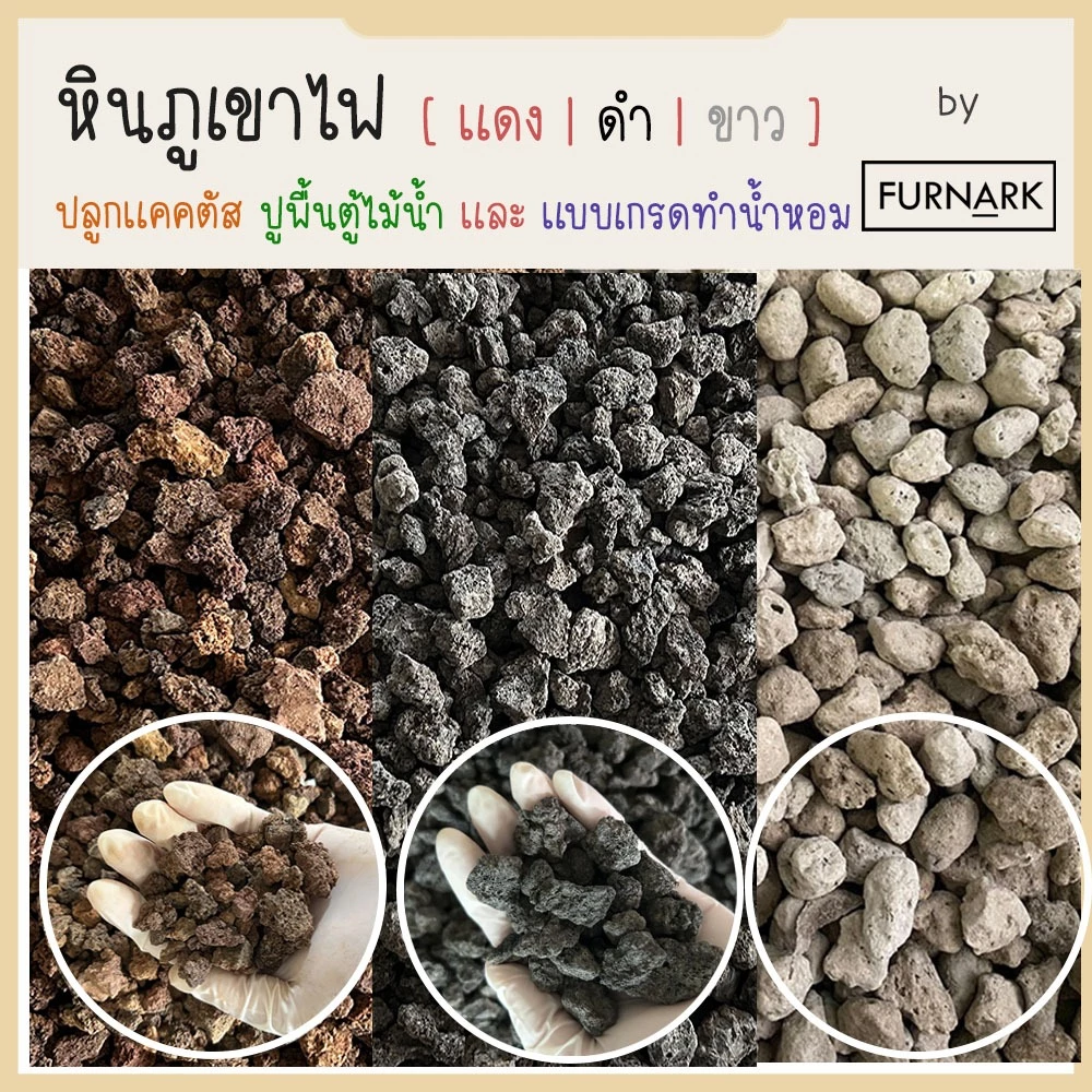 (พร้อมส่ง) หินภูเขาไฟ 0.5L/1L /2L (ขาว-ดำ-แดง) ทำหินน้ำหอม ปลูกแคคตัส มอส จัดตู้ไม้น้ำ ปูกระถาง หินสปา wellness