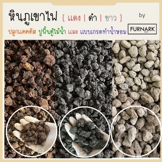 (พร้อมส่ง) หินภูเขาไฟ 0.5L/1L /2L (ขาว-ดำ-แดง) ทำหินน้ำหอม ปลูกแคคตัส มอส จัดตู้ไม้น้ำ ปูกระถาง หินสปา wellness