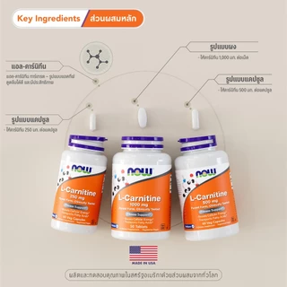 แอล-คาร์นิทีน | L-Carnitine Tartrate 250 MG / 500 MG [Capsules] by NOW FOODS | Authentic Made in USA
