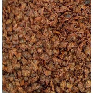 หอยลายกรอบ, หอยลาย 3 รส (สินค้าใหม่)