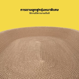 【ซื้อ 1 แถม 1】อ่างลับเล็บแมว ทรงวงรี ที่ลับเล็บแมว คุณภาพดี ที่ลับเล็บแม 2in1 แผ่นลับเล็บ อ่างลับเล็บ ของเล่นแมว