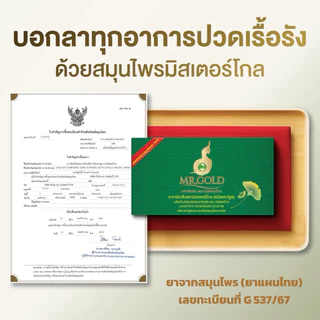 Mr.Gold มิสเตอร์โกล (ของแท้จากบริษัท) สมุนไพรมิสเตอร์โกล แก้ปวด พร้อมส่ง มีเก็บปลายทาง