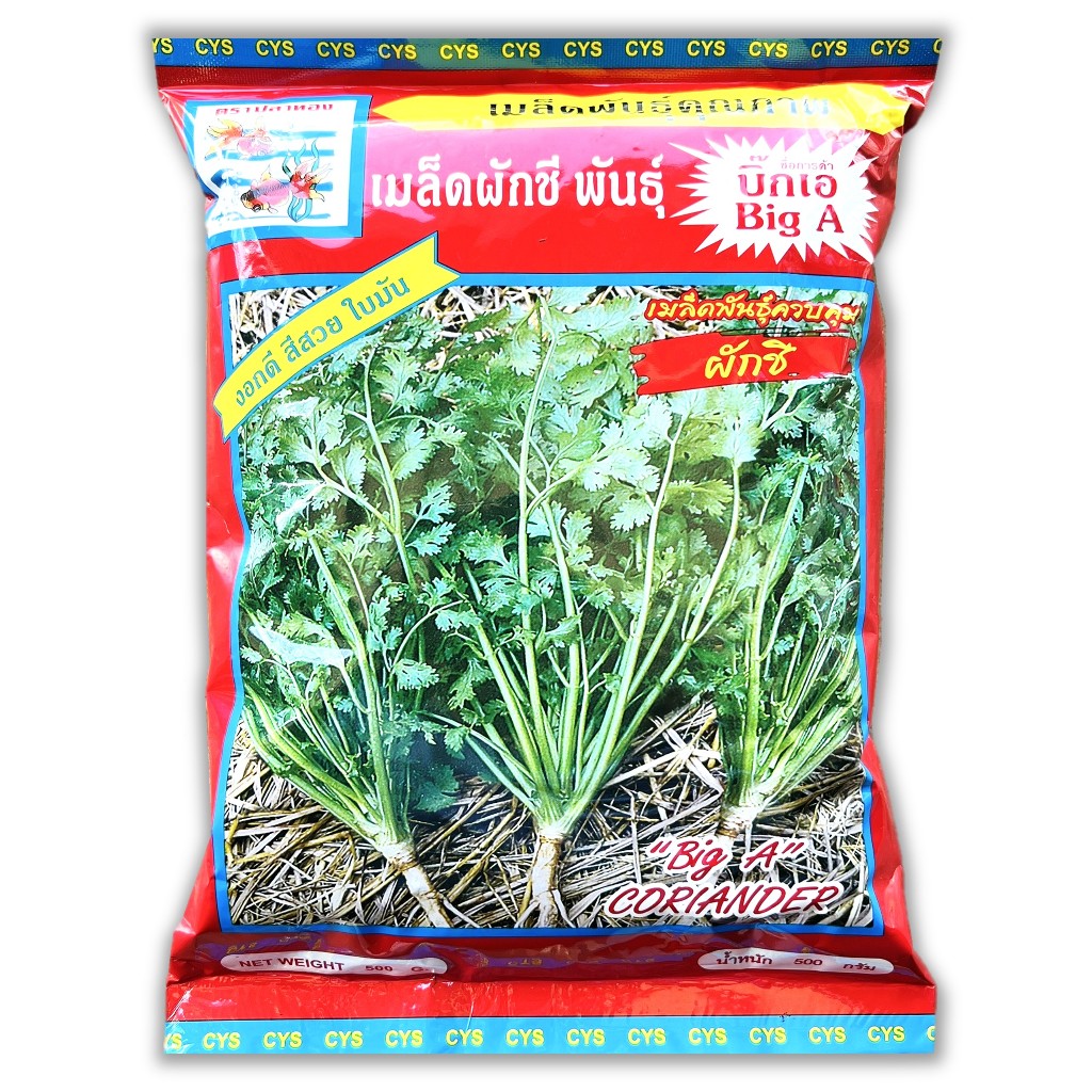 เมล็ดผักชี ถุงใหญ่ ขนาด 500 กรัม ตราปลาทอง พันธุ์ Big A