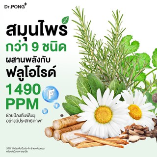 [กด 3 ฟรี 1] ยาสีฟันฟอกฟันขาว แก้ฟันเหลือง Dr.PONG 9x herbal plus fluoride toothpaste ยาสีฟันสมุนไพร ลดเหงือกอักเสบ