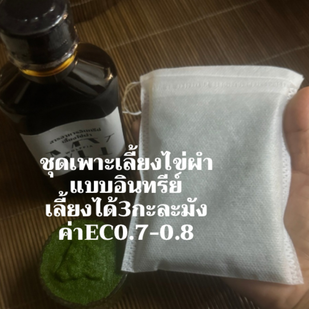 ผำ(ตักเมื่อออเดอร์ได้เลยค่ะ)ชุดทดลอง ผำแบบอินทรีย์ โรงเรือนปิด เลี้ยง/ล้างน้ำRO สารอาหารอินทรีย์หมักจากพืชผลที่มีมาตรฐาน