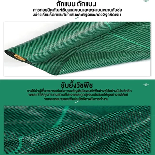 Daily Gold พลาสติกคลุมวัชพืช ผ้าคลุมหญ้า 2x50 1x100 2x10 3x10 กำจัดหญ้า พลาสติกคลุมดิน ผ้าคลุมดิน
