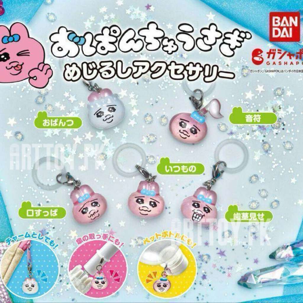 (พร้อมส่ง🇹🇭) Opanchu Usagi Mejirushi Accessories