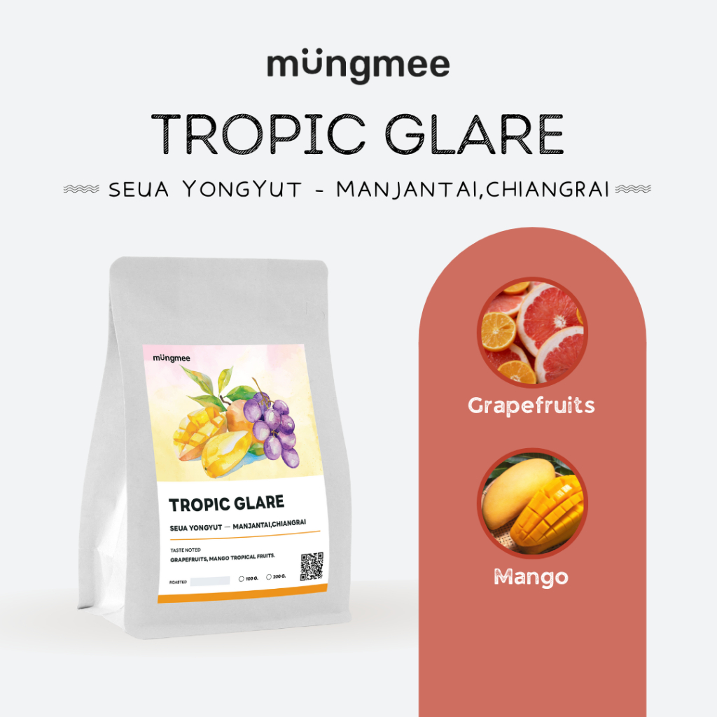 Mungmee Coffee เมล็ดกาแฟ คั่วอ่อน Maejantai - Tropic Glare