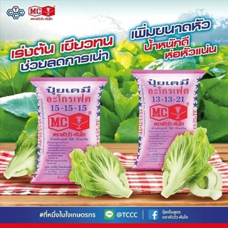 (แบ่งขาย)ปุ๋ย15-15-15 ตราหัววัวคันไถ ปุ๋ยบำรุง ราก ปุ๋ยเร่งต้น ใบ ดอก ผล ใส่ผัก ผลไม้ ไม้ดอกไม้ประดับ