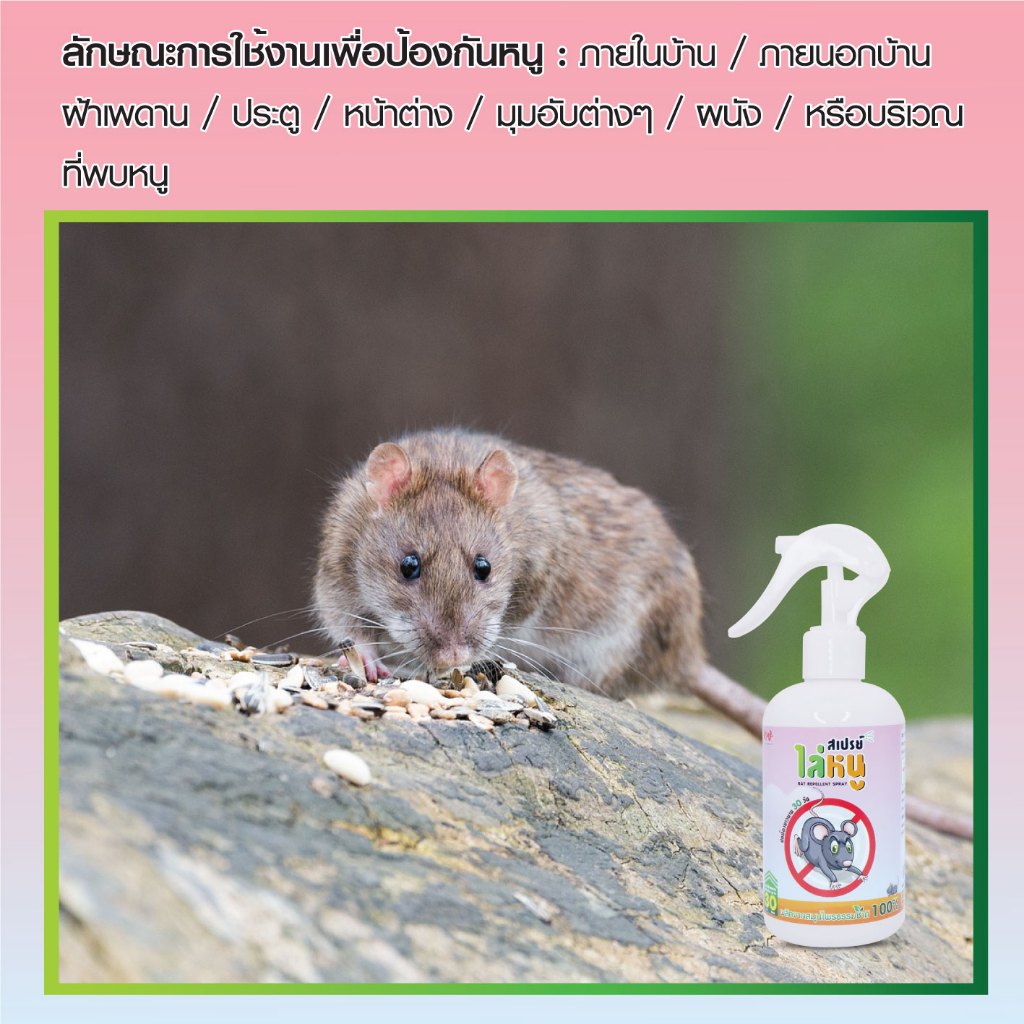 สเปรย์ป้องกันหนู kwcreation สมุนไพรไล่หนู  ไม่เป็นอันตรายต่อคนและสัตว์ 250 ML. - รูปที่ 2