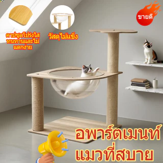 แคททาวเวอร์แมวขนาดเล็ก เตียงเลื่อนแมวทำจากไม้ ต้นแมว หอแมว เตียงแบบโปร่งใส แข็งแรง ทนทานต่อการขีดเล็บ อพาร์ทเมนต์แมว