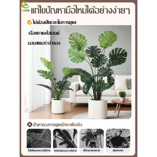 GAIDING【อัตราการซื้อคืน 99.9%ต้นไม้ปลอม-ประดิษฐ์ ต้นไม้ปลอมใหญ่ สูง120/150/180ซม ไม่มีกลิ่นแปลกๆ ไม่จำเป็นต้องบำรุงรักษา