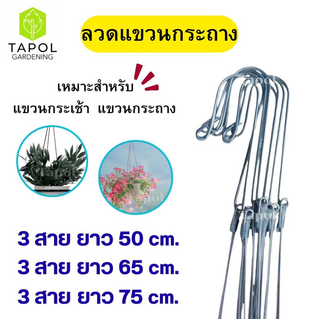 ลวดแขวนกระถางต้นไม้ 3 สาย มีหลายขนาด ลวดอย่างดีแข็งแรงทนทาน เหมาะสำหรับแขวนกระถาง แขวนกระเช้า