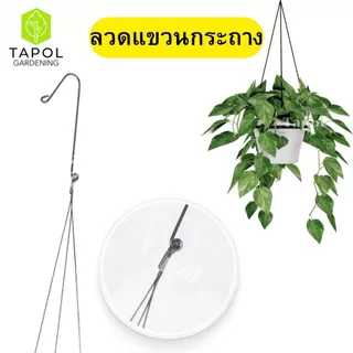 ลวดแขวนกระถางต้นไม้ 3 สาย มีหลายขนาด ลวดอย่างดีแข็งแรงทนทาน เหมาะสำหรับแขวนกระถาง แขวนกระเช้า