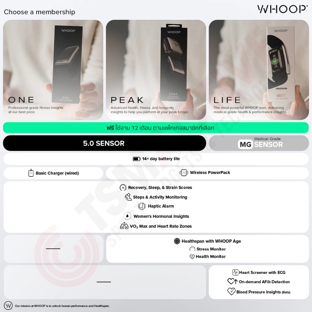 ⓦ WHOOP 5.0 ONE / PEAK / MG LIFE สายรัดข้อมือวัดชีพจร (12-Month Membership + ประกันสินค้า 1 ปี) thumbnail 3