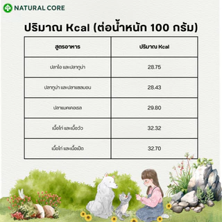 Natural Core Twin Pouch ซุปอาหารเปียก สำหรับแมว นำเข้าจากเกาหลี 🇰🇷