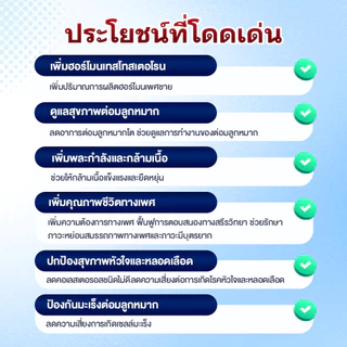 Protolite คอมโบ 2 กล่อง อาหารเสริมสุขภาพชาย ป้องกันต่อมลูกหมากโต เพิ่มพลังทางเพศ