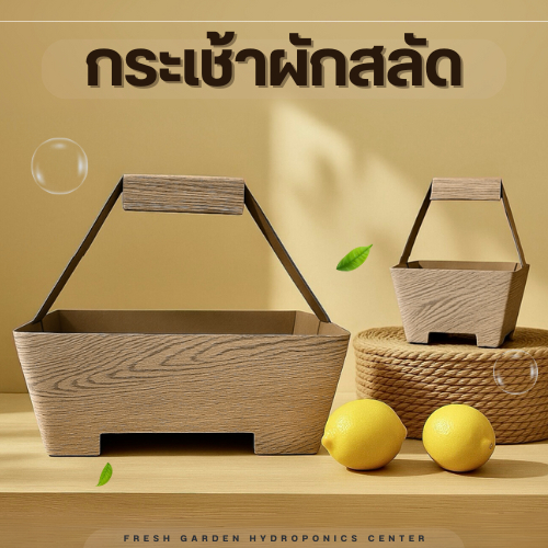 กระเช้ากระดาษ ใส่ผักสลัด แบบแพ็ค( ไซส์ S ,L )