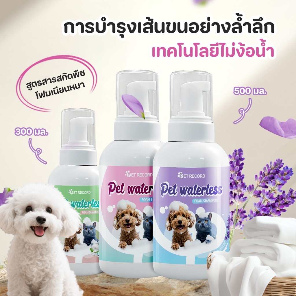 🐾【ออกแบบมาโดยเฉพาะสำหรับเจ้าของสัตว์เลี้ยงชาวไทย】ไม่ต้องซัก! แก้ปัญหาการทำความสะอาดสัตว์เลี้ยงภายใน 5 นาที!🐾 ทาสแมวที่ร