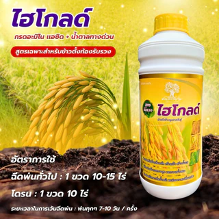ไฮโกลด์ สูตรข้าวตั้งท้องรับรวงสารสกัดเข้มข้น ขนาด 1 ลิตร ข้าวเมล็ดใหญ่ น้ำหนักดี สีสวย รวงใหญ่ยาว ทนต่อทุกสภาพอากาศ
