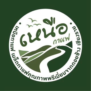 เมล็ดกาแฟดอยช้าง Doi Chang Arabica 100% จากเชียงราย บรรจุถุงติดวาล์ว