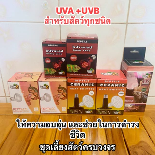 ชุดกกไฟ UVA และ UVB พร้อมใช้งาน
