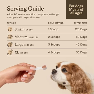 Fera Pets USDA Organic Mushroom Blend for Immune Support for dogs and cats