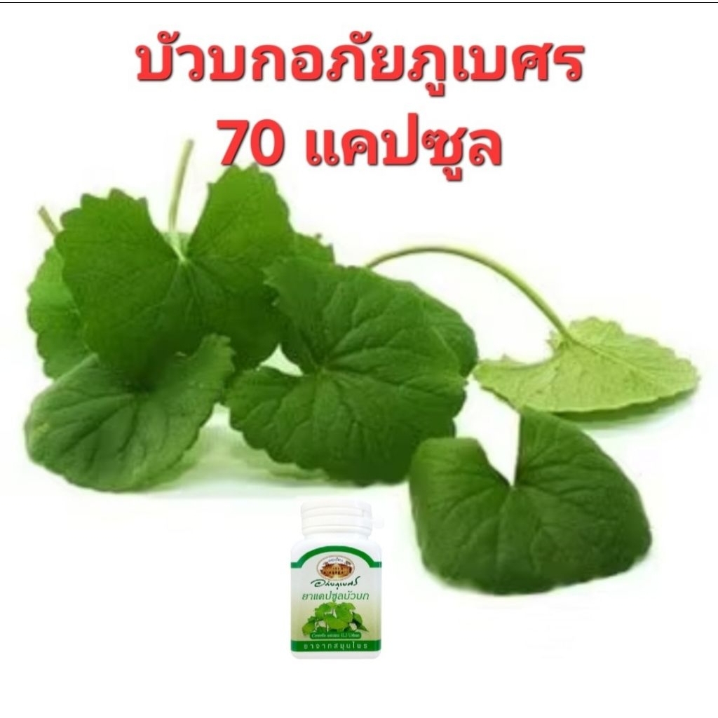 อภัยบัวบกพร้อมทานเพื่อสุขภาพ ราคา ถูกที่สุด ดีลบีเคเค รูปภาพหลัก