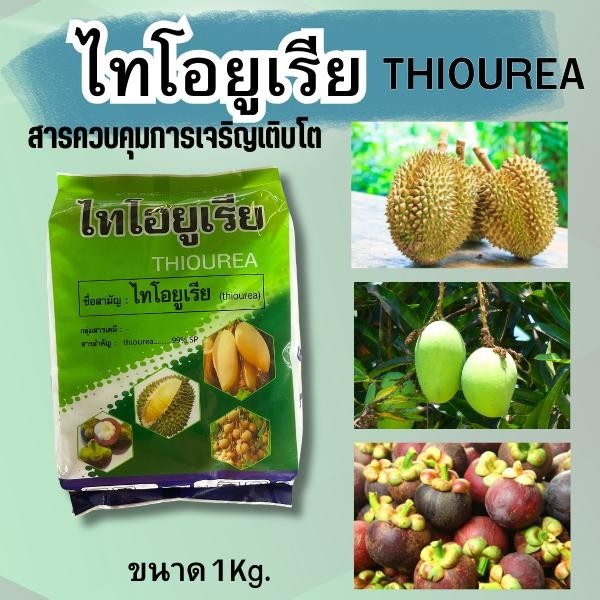 ไทโอยูเรีย 1Kg. เกล็ดสีขาว ตัวยับยั้งการเจริญเติบโตของพืช ช่วยกระตุ้นการแตกตาใบใหม่และออกดอก สำหรับมะม่วง มังคุด ชมพู่