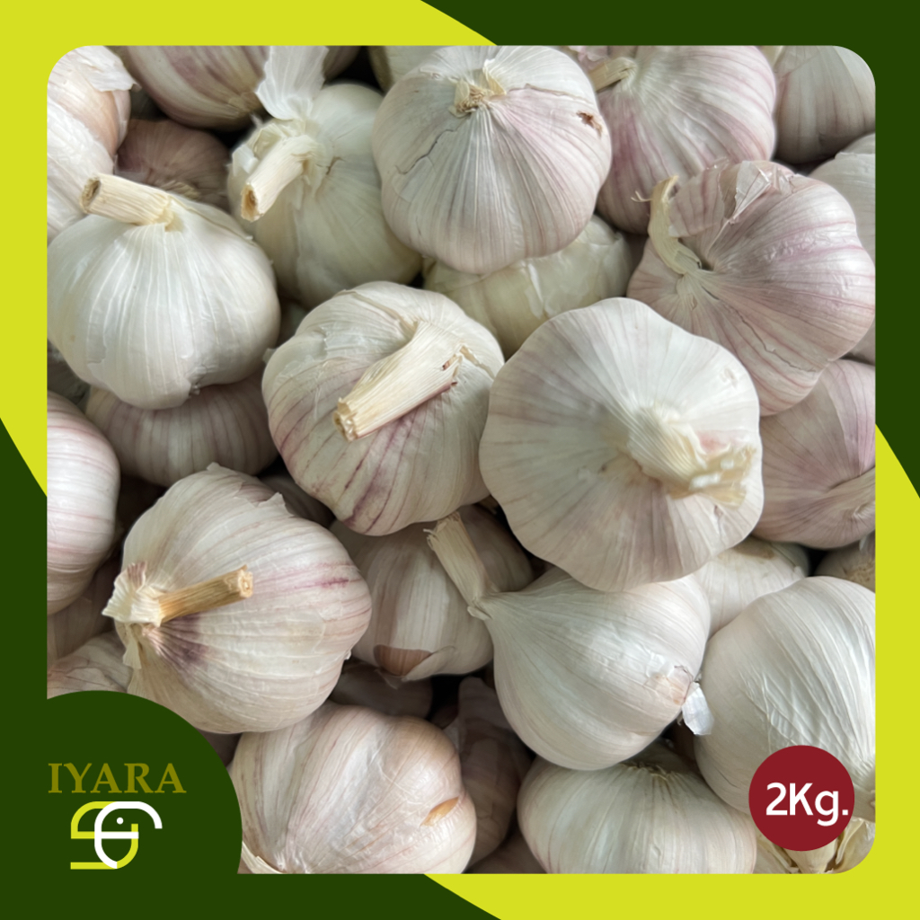 กระเทียมปิงปอง3.5cmหัวเล็ก น้ำหนัก2กิโลกรัม