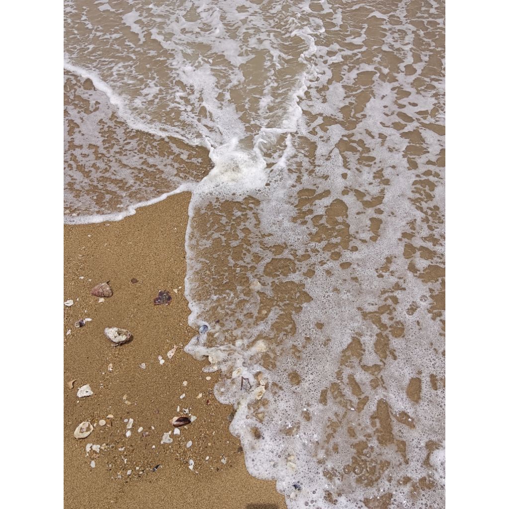 สำหรับจัดส่งให้ลูกค้า