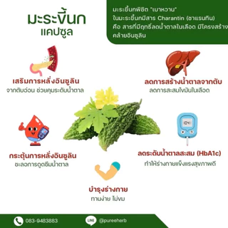 มะระขี้นก ตราภูรีเฮิร์บ บรรจุ 100 แคปซูล - เบๅหวาน น้ำตๅลสูง
