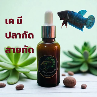 เค มี สำหรับปลากัด สายกัด