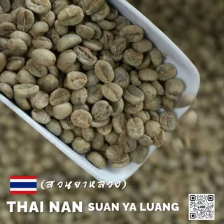 สารกาแฟไทยสวนยาหลวง จ.น่าน,Nan Suan Ya Luang -100% บรรจุ 5 - 20kg. RK.Coffeebean