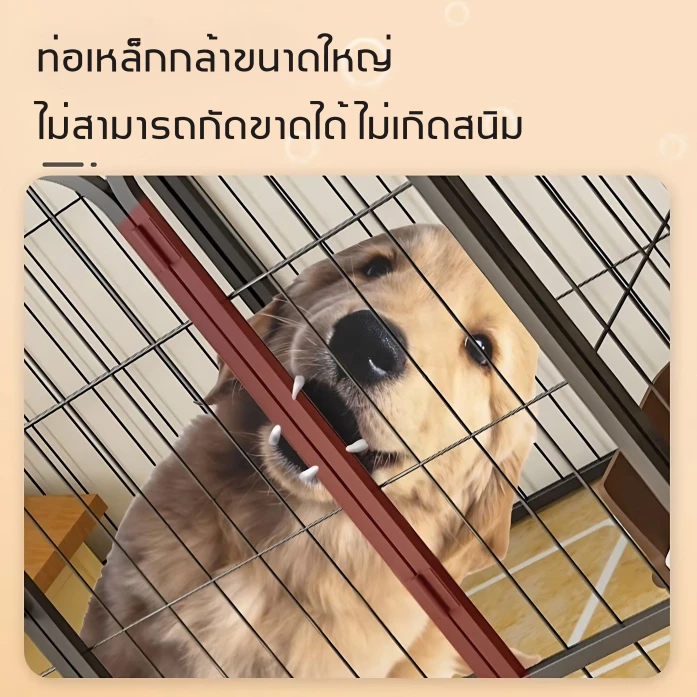 กรงสุนัข กรงหมา คอกสุนัข คอกกระต่าย กรงสุนัขแบบปรับได้ ติดตั้งง่าย แข็งแรง ทนทาน มีให้เลือกหลากหลายสไตล์ สินค้ามีจำหน่าย thumbnail 4